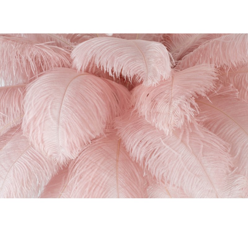 Lampa podłogowa TIFFANY 175 różowa mosiądz / naturalne pióra