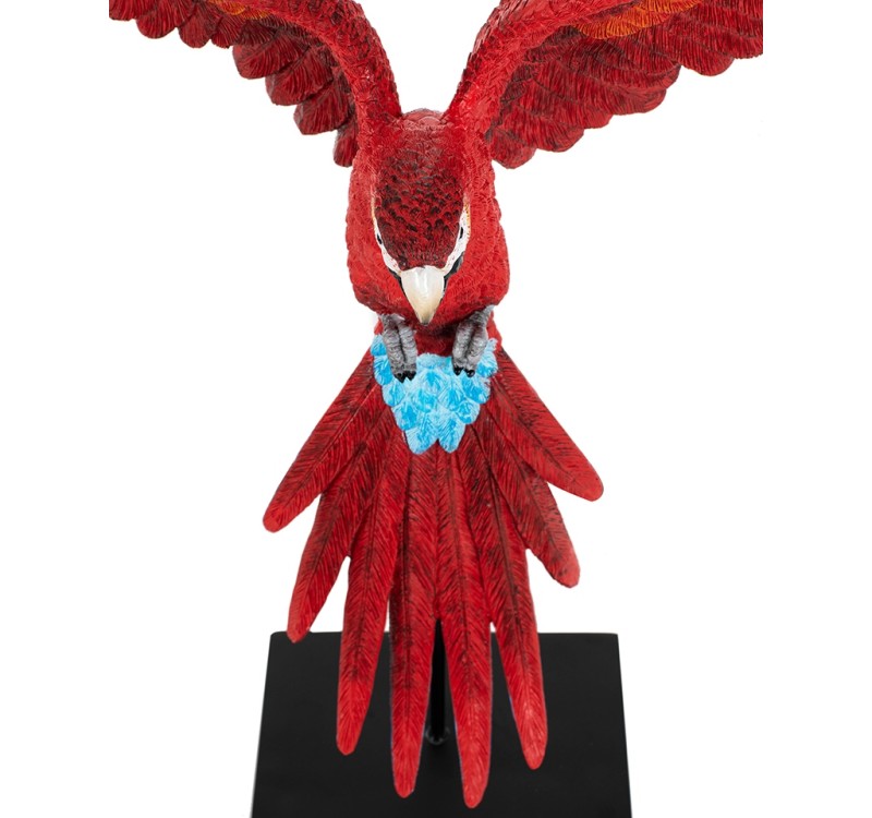 KARE dekoracja PAPUGA ROZŁOŻONE  SKRZYDŁA 52x61 cm czerwona / niebieska