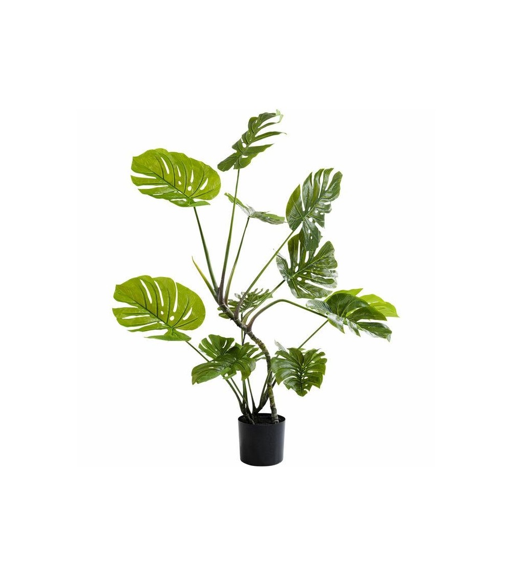 KARE roślina dekoracyjna MONSTERA 110 cm