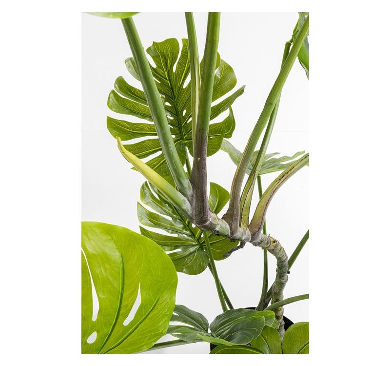 KARE roślina dekoracyjna MONSTERA 110 cm