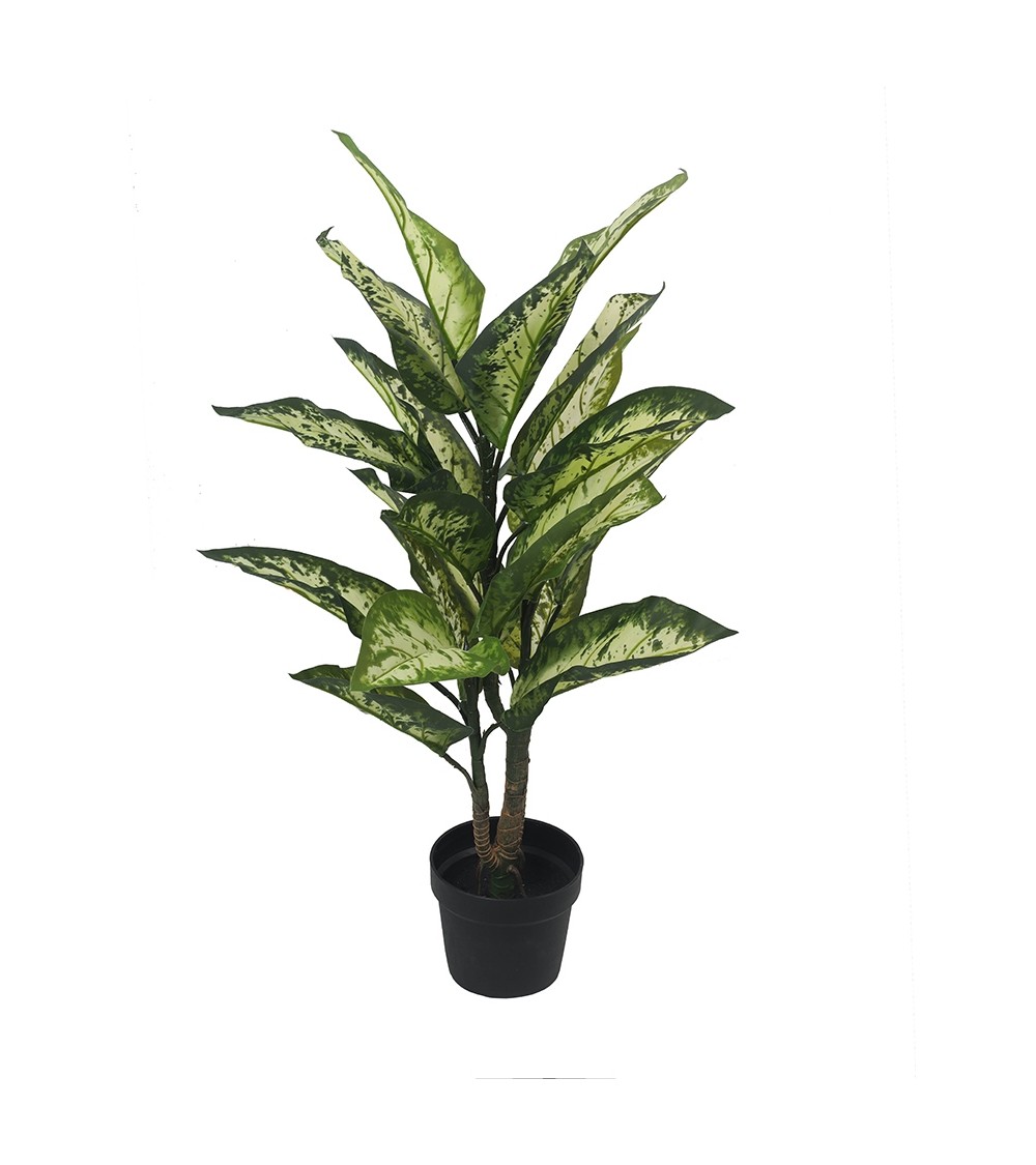 KARE roślina dekoracyjna DIFENBACHIA 100  cm