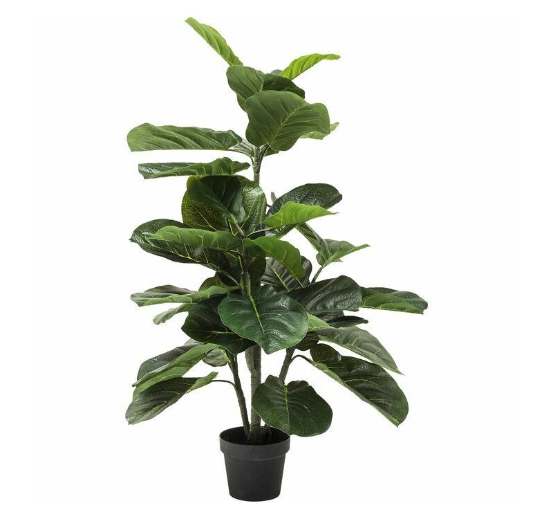 KARE roślina dekoracyjna FIDDLE LEAF 120  cm