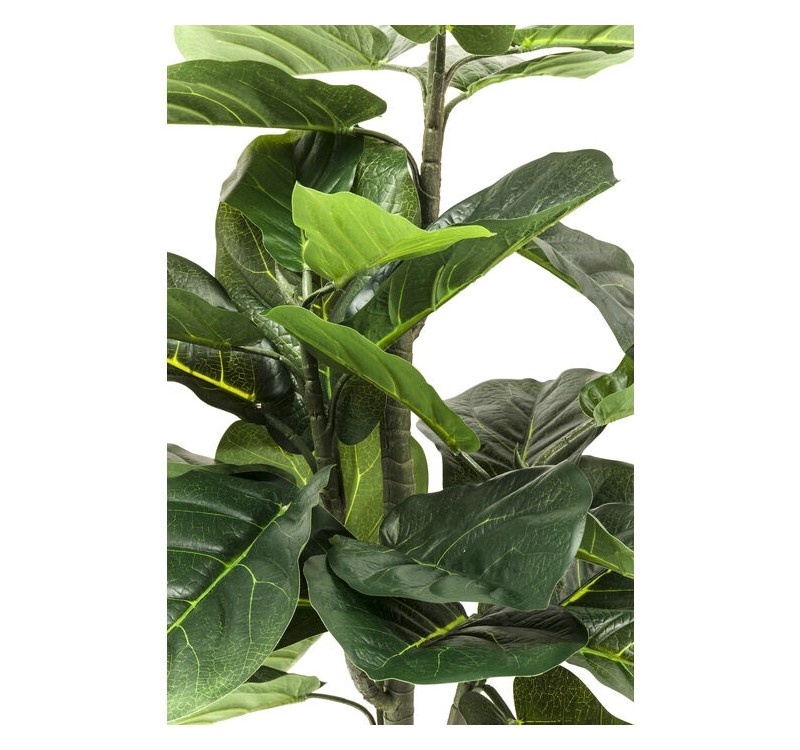 KARE roślina dekoracyjna FIDDLE LEAF 120  cm