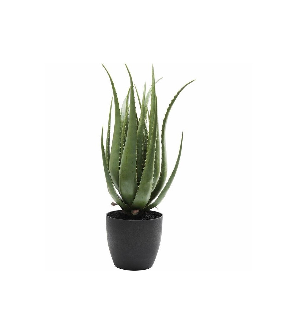 KARE roślina dekoracyjna ALOE 69 cm