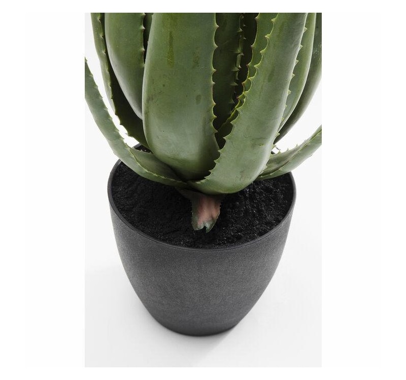 KARE roślina dekoracyjna ALOE 69 cm
