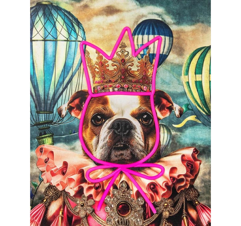 Obraz NEON BULLDOG BALOON 80x100 cm