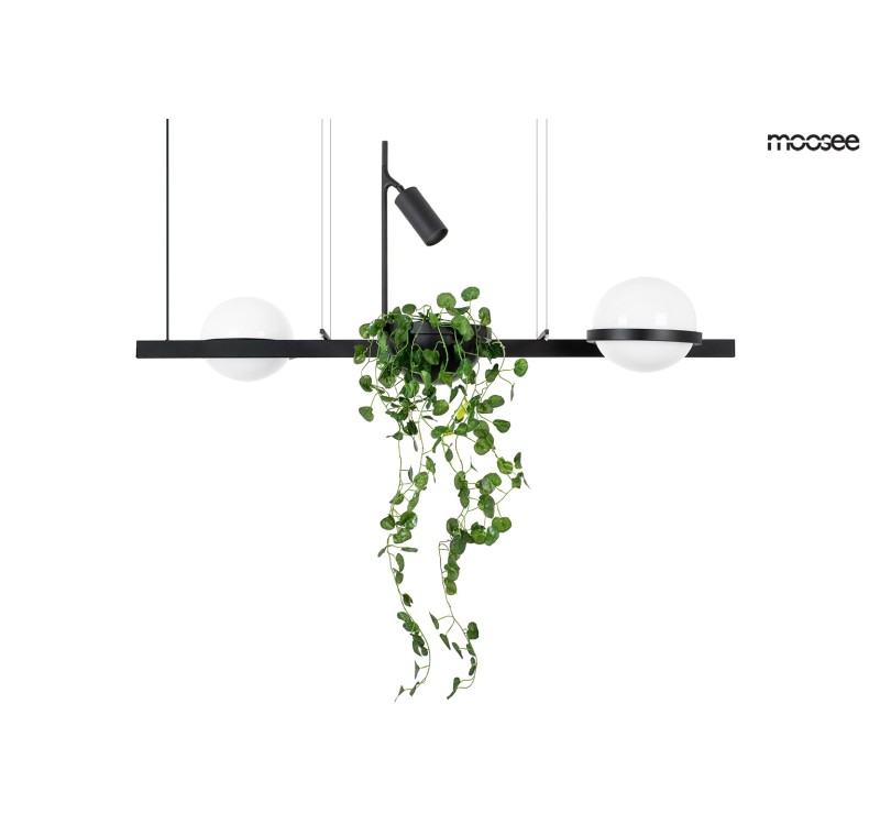 MOOSEE lampa wisząca PLANT czarna