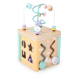 Drewniana kostka edukacyjna sorter mula ECOTOYS