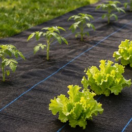 Agrowłóknina czarna agrotkanina UV 150g mata antychwastowa 1,6x50m kołki MulltiGarden