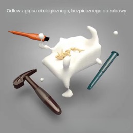 WOOPIE Wykopalisko "Mały Archeolog" 6 Szkieletów Dinozaurów